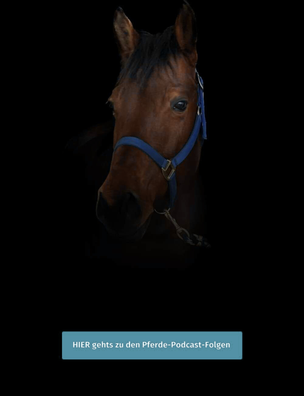 Julia Schütze, Pferde, Pferdepodcast, Podcasterin, Podcast